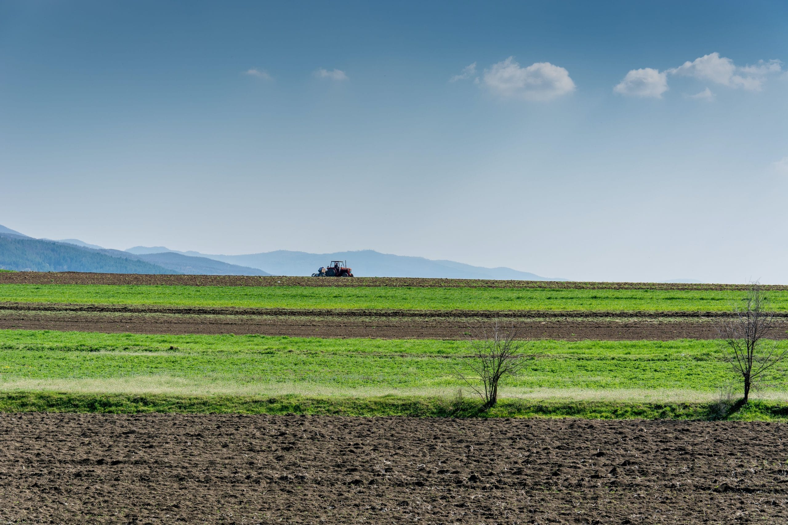Landwirtschaft ohne Subventionen | Overton Magazin
