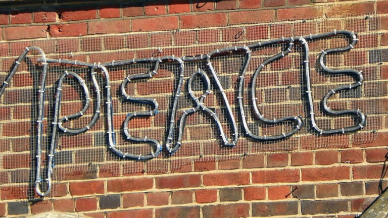Frieden, Peace