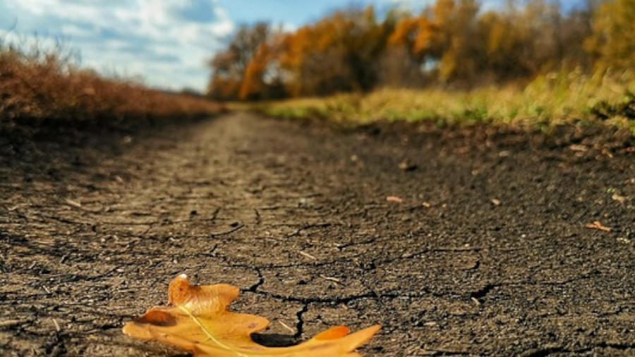Herbstdepression