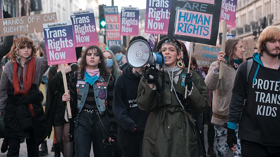 Trans Rights Now