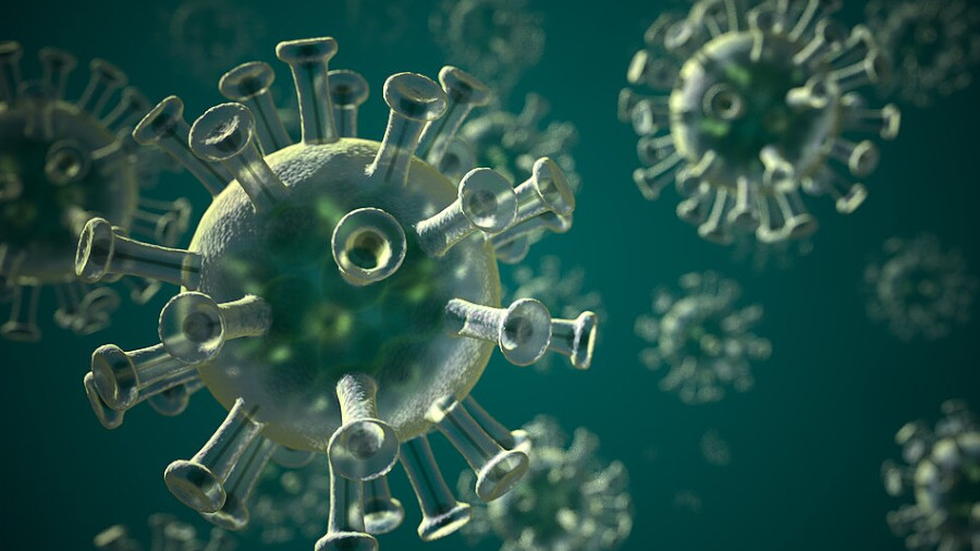 Coronavirus. Aus dem Labor oder aus der Natur?