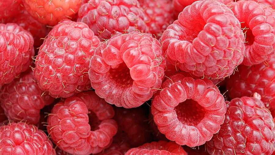 Himbeeren