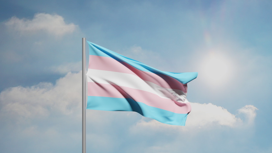 Trans-Flagge