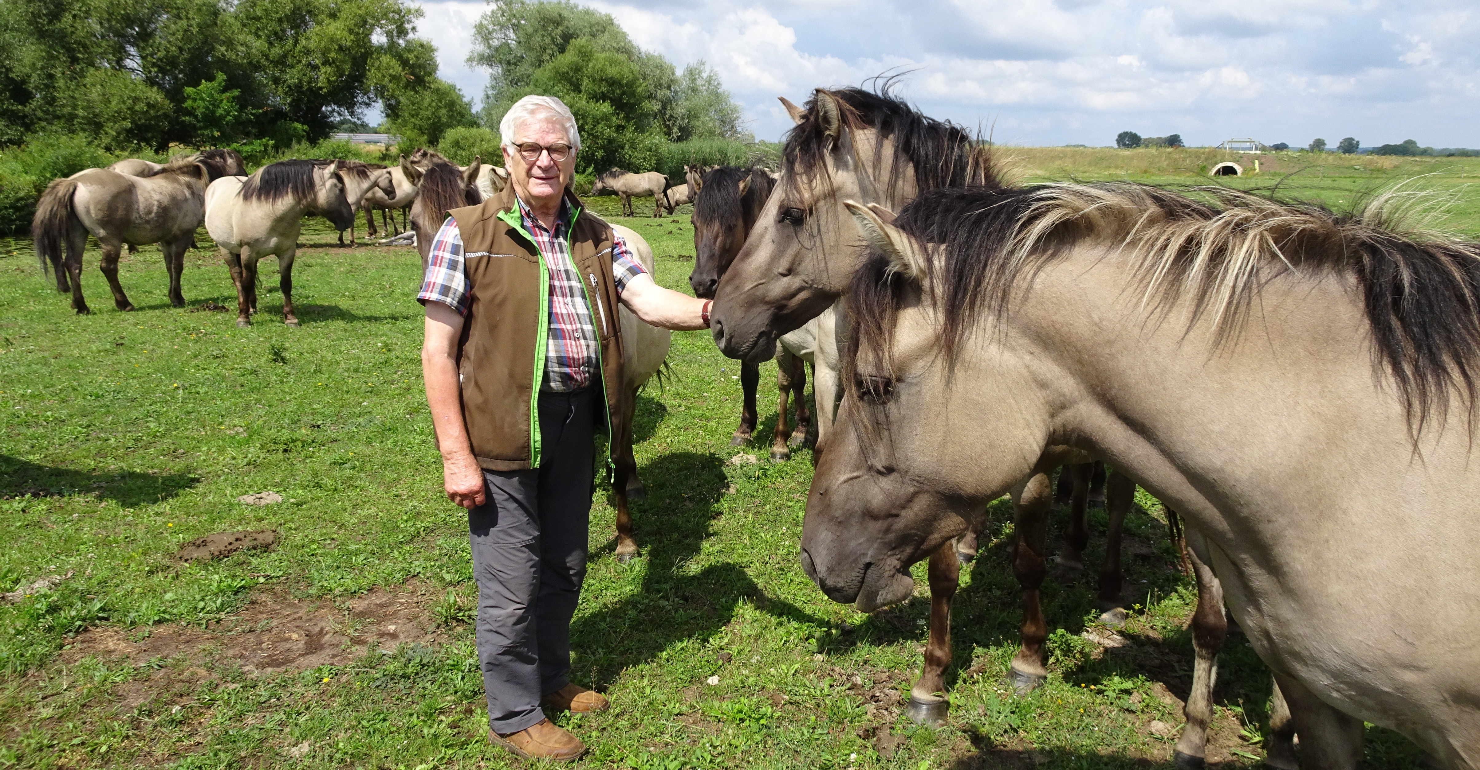 Hans-Jürgen Niederhoff bei seinen Koniks im Weidegebiet an der Sude, einem nördlichen Zufluss der Elbe.