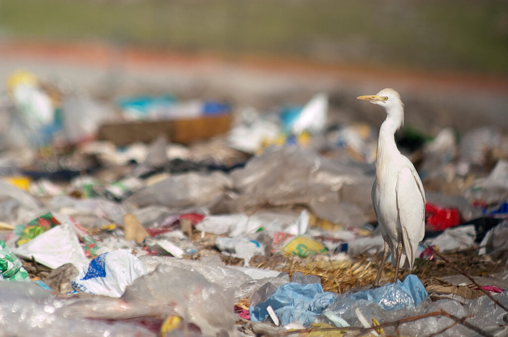 Plastikwelt