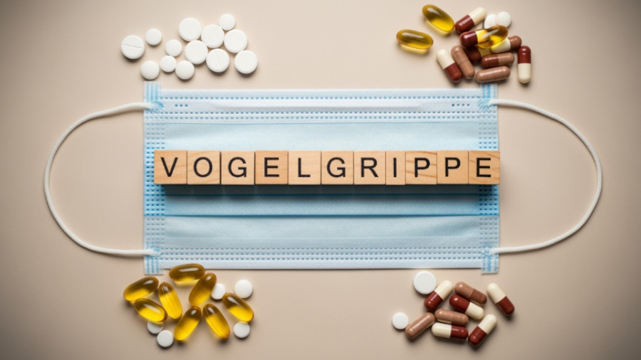 Vogelgrippe, Symbolbild