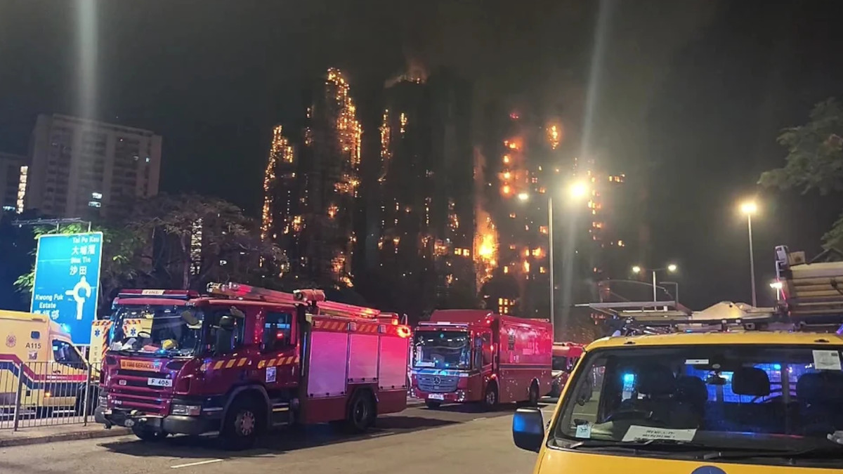 Brand in Tai Po, November 2025