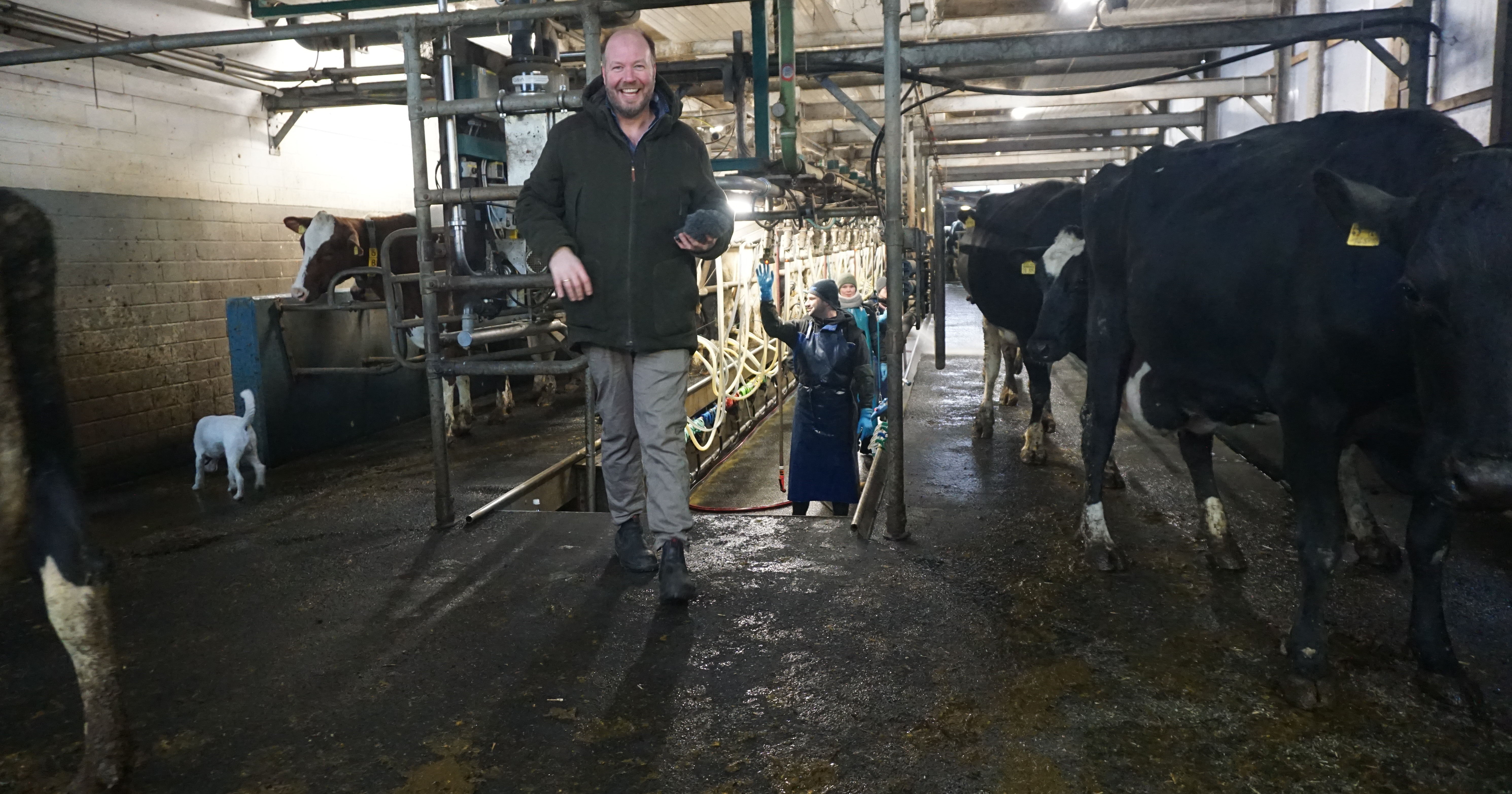 Eigentlich sollte bei 500 Kühen Schluss sein, jetzt aber müssen und sollen es doch mehr werden. Jasper Metzger-Petersen beim Melkstand des Backensholzer Hofes.