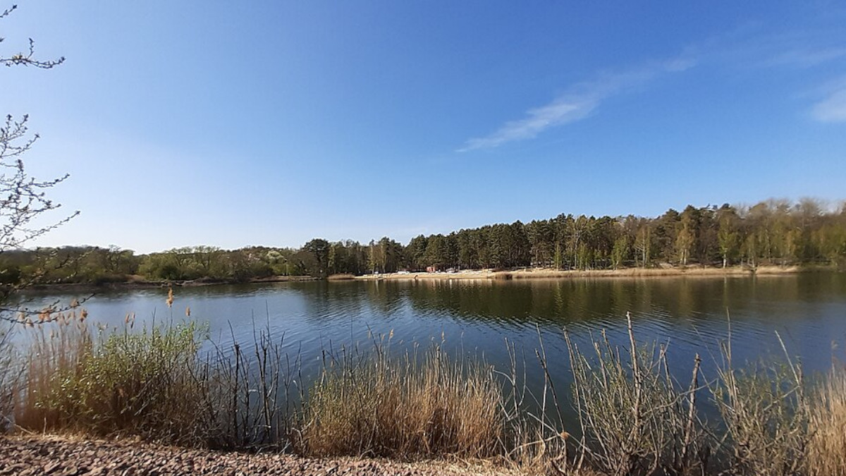 Heidesee, Halle
