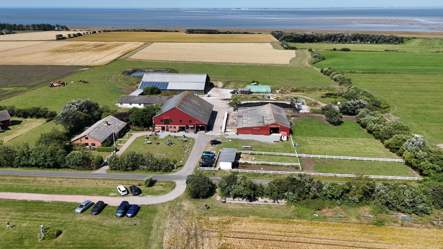 Einzigartiges Klima: Hier entsteht der Inselwhisky. Vierhundert Meter vom Seedeich und der Nordsee entfernt, umgeben von Weiden und Feldern, liegt der Aussiedlerhof im Westen von Föhr. | Foto: Florian Schwinn